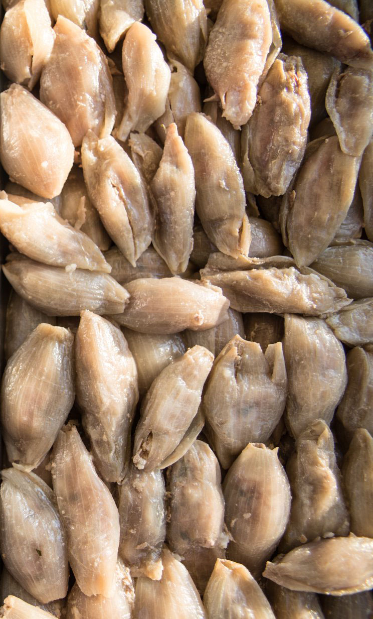 Σουγάνια (κρεμμυδοντολμάδες)