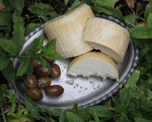λαδοτυρι
