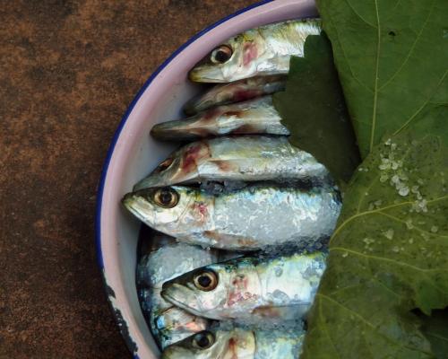 Σαρδέλα Καλλονής/ Παπαλίνα 