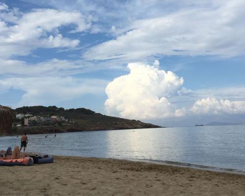 Παραλία Καρφάς