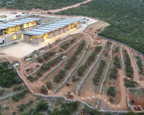 Μουσείο Μαστίχας Χίου