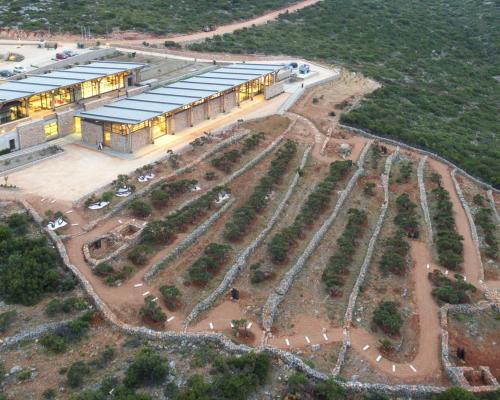 Μουσείο Μαστίχας Χίου