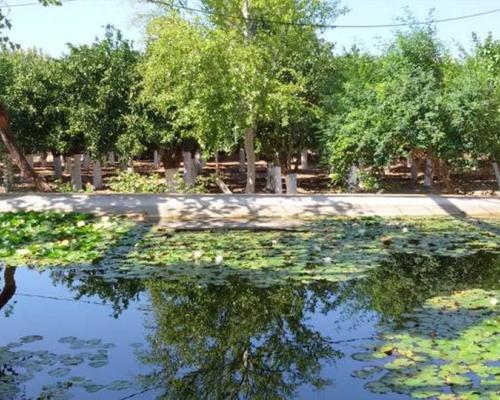 Σπήλαιο Αγίου Γάλακτος