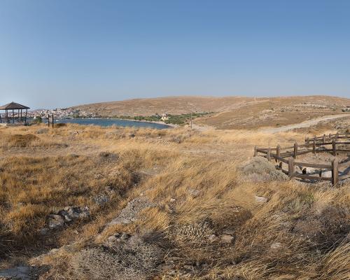 Πάρκο Απολιθωμένου Δάσους Πλάκας