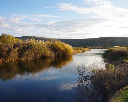 Μικροί Υδροβιότοποι Ερεσού - Δυτικής Λέσβου
