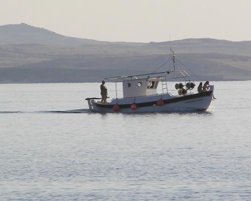 Ψάρεμα