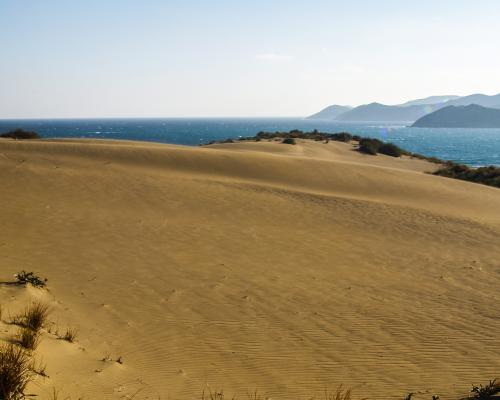 Αμμοθίνες Γομάτι