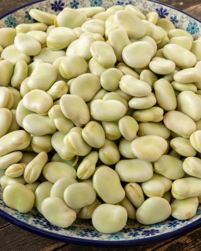 Ξερά κουκιά