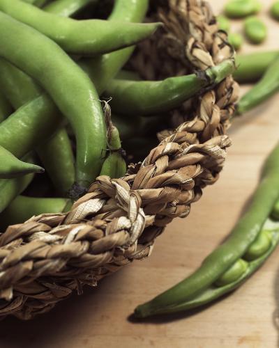 Ξερά κουκιά