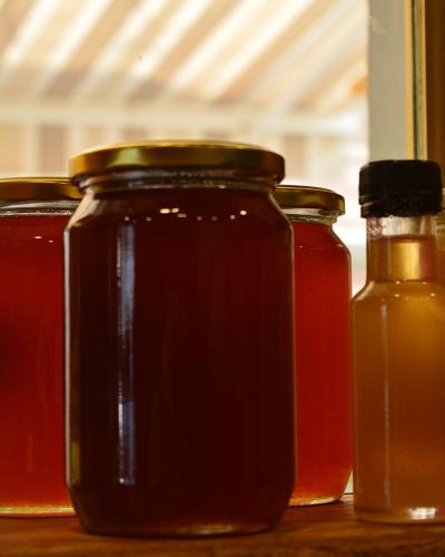 Θυμαρίσιο μέλι 