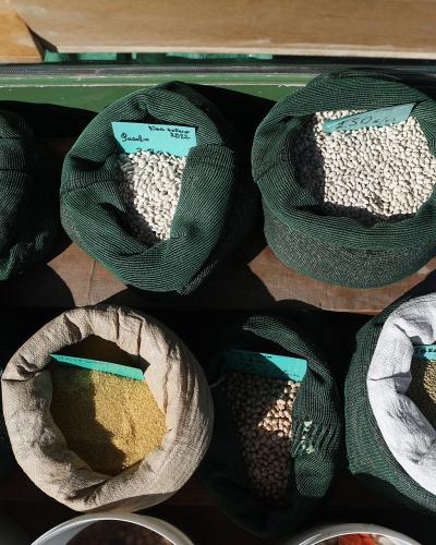 Φασόλια Κάπης 