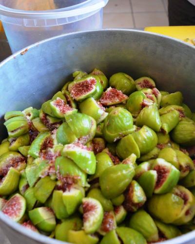 Σύκα Ερεσού 