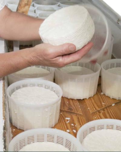 Καλαθάκι Λήμνου 