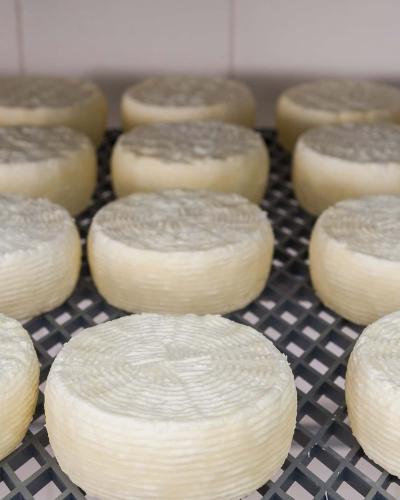 Καλαθάκι Λήμνου 