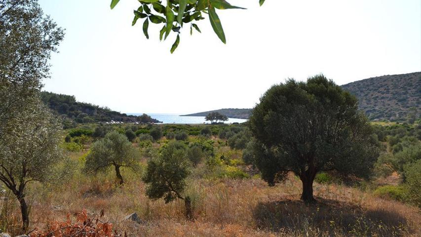 Ναός Φαναίου Απόλλωνος Κάτω Φανών