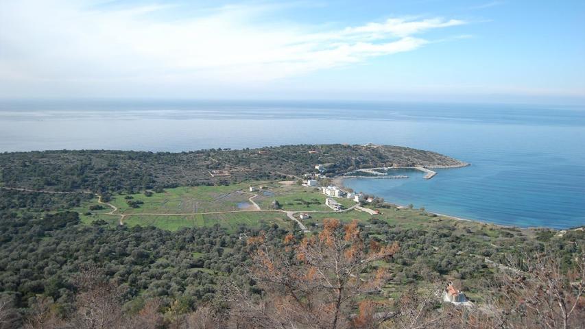 Παραλία Λιθί