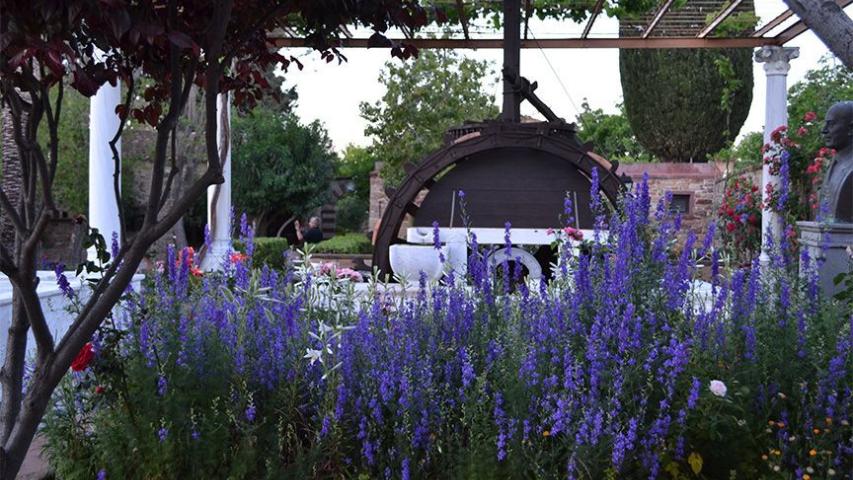 Περιβόλι Κάμπου