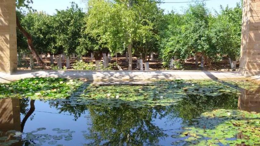 Σπήλαιο Αγίου Γάλακτος