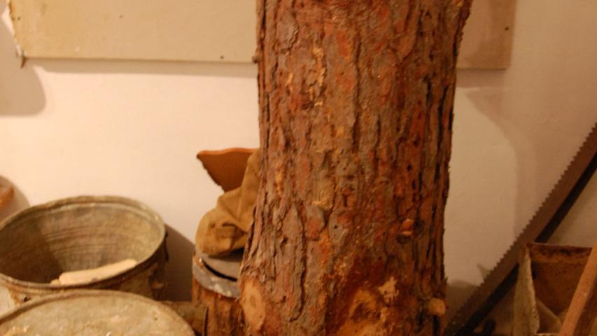 Αναπαράσταση συλλογής ρητίνης από τον κορμό δέντρου