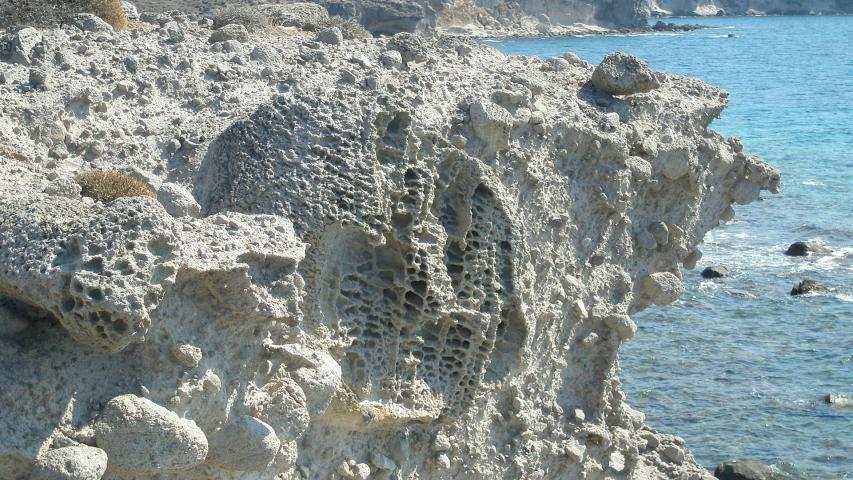 Πάρκο Απολιθωμένου Δάσους Νησιώπης