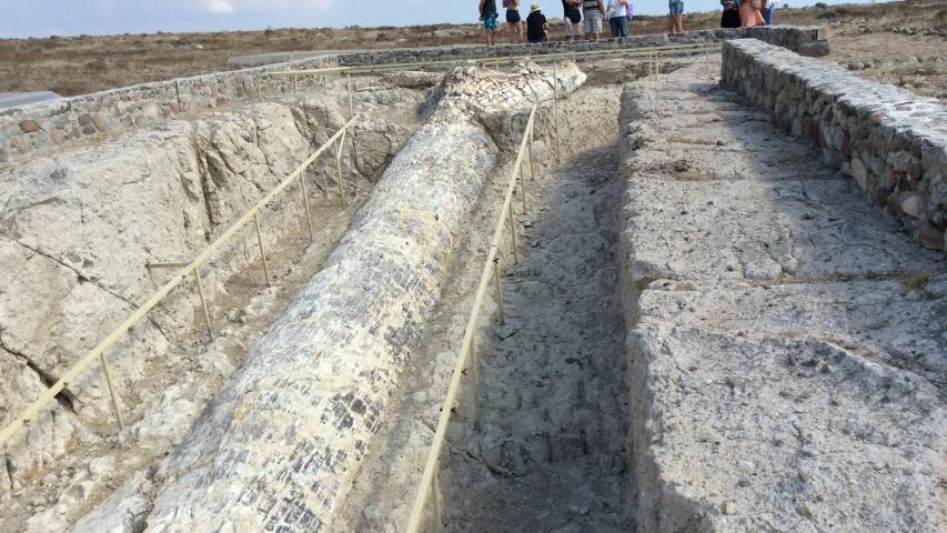 Πάρκο Απολιθωμένου Δάσους Νησιώπης