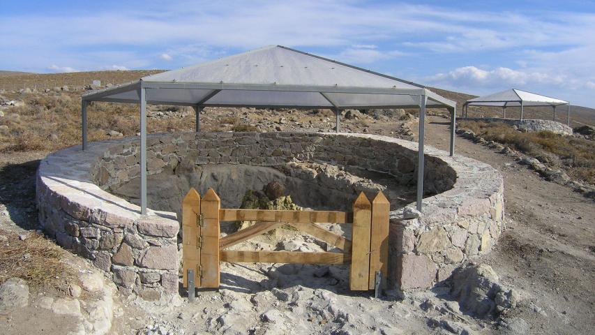 Πάρκο Απολιθωμένου Δάσους Πλάκας