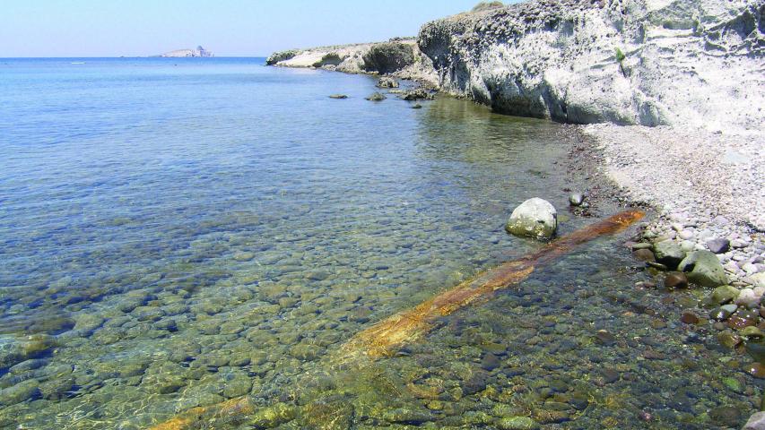 Πάρκο Απολιθωμένου Δάσους Πλάκας