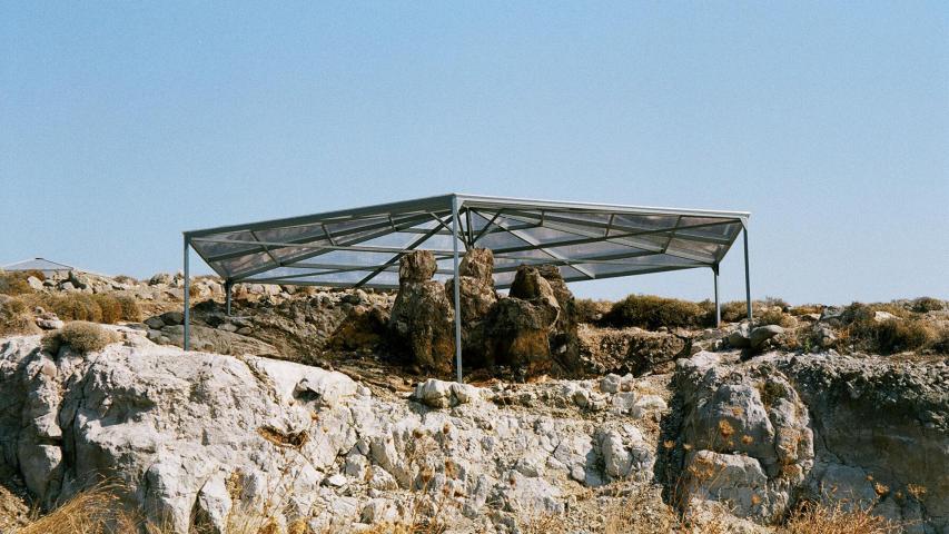 Πάρκο Απολιθωμένου Δάσους Πλάκας