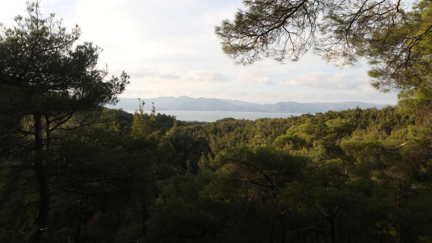 Καταρράκτης Πέσσας