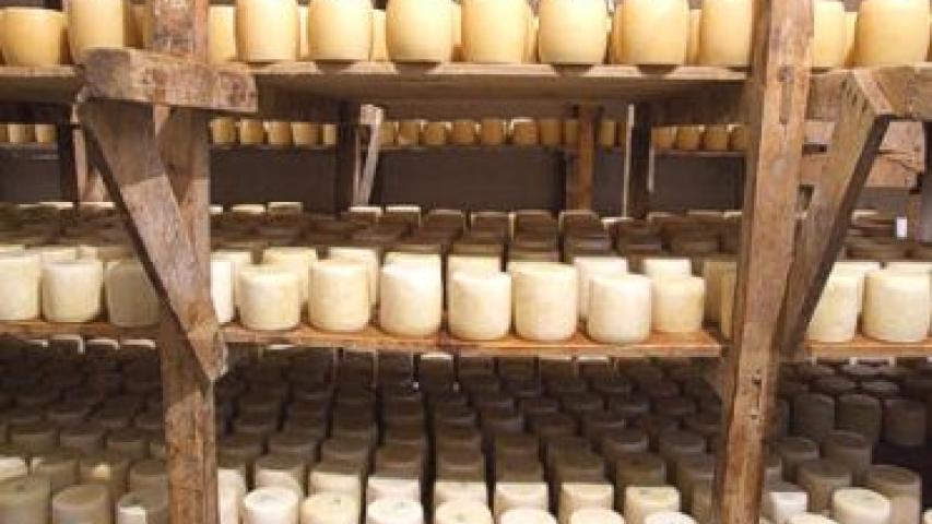 Οικισμός Μανταμάδος