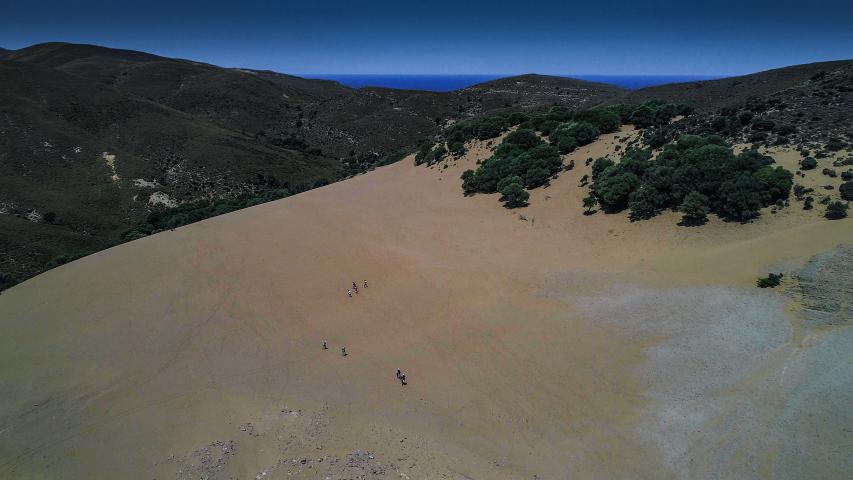 Αμμοθίνες Γομάτι