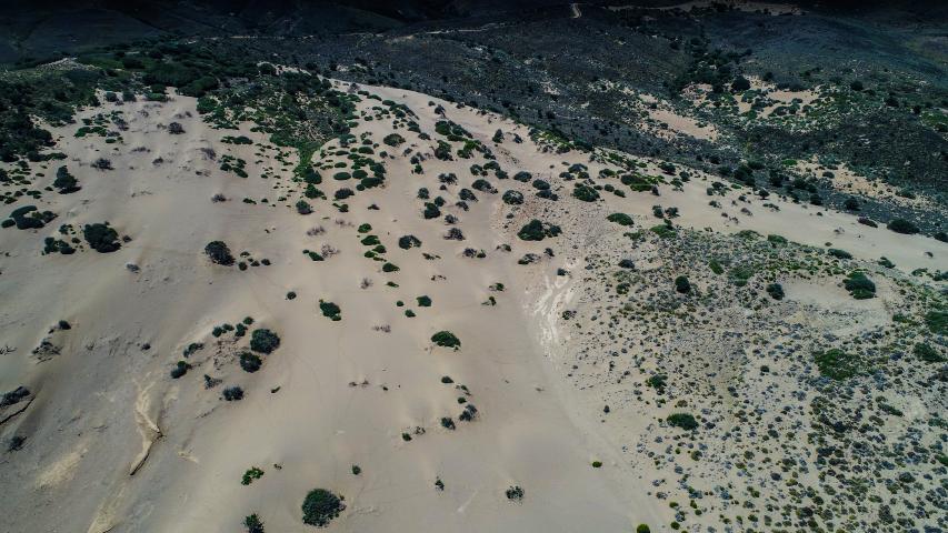 Αμμοθίνες Γομάτι