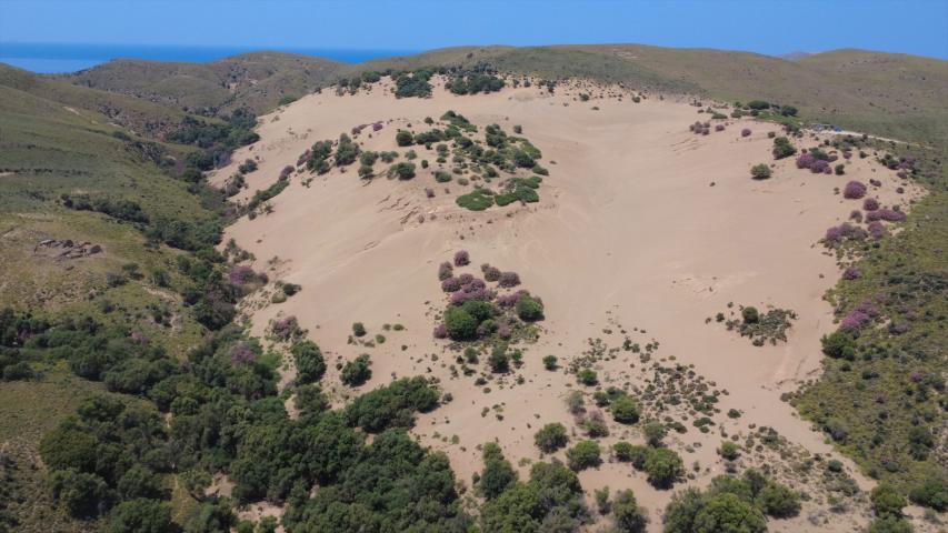 Αμμοθίνες Γομάτι